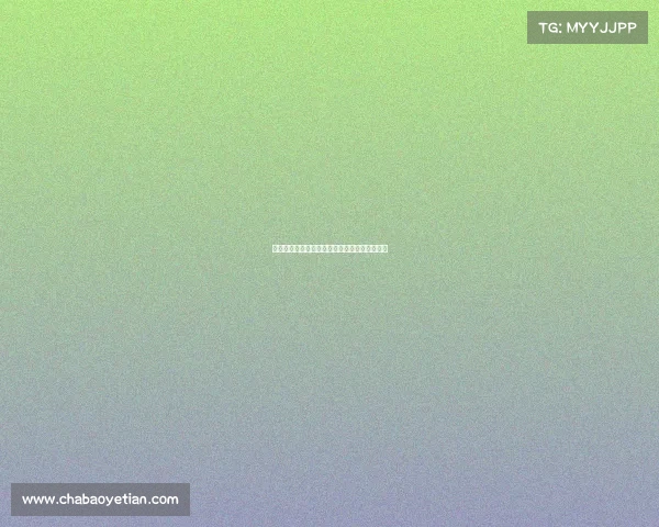 《解锁未来：阳光学院的数字战场与青春荣光》